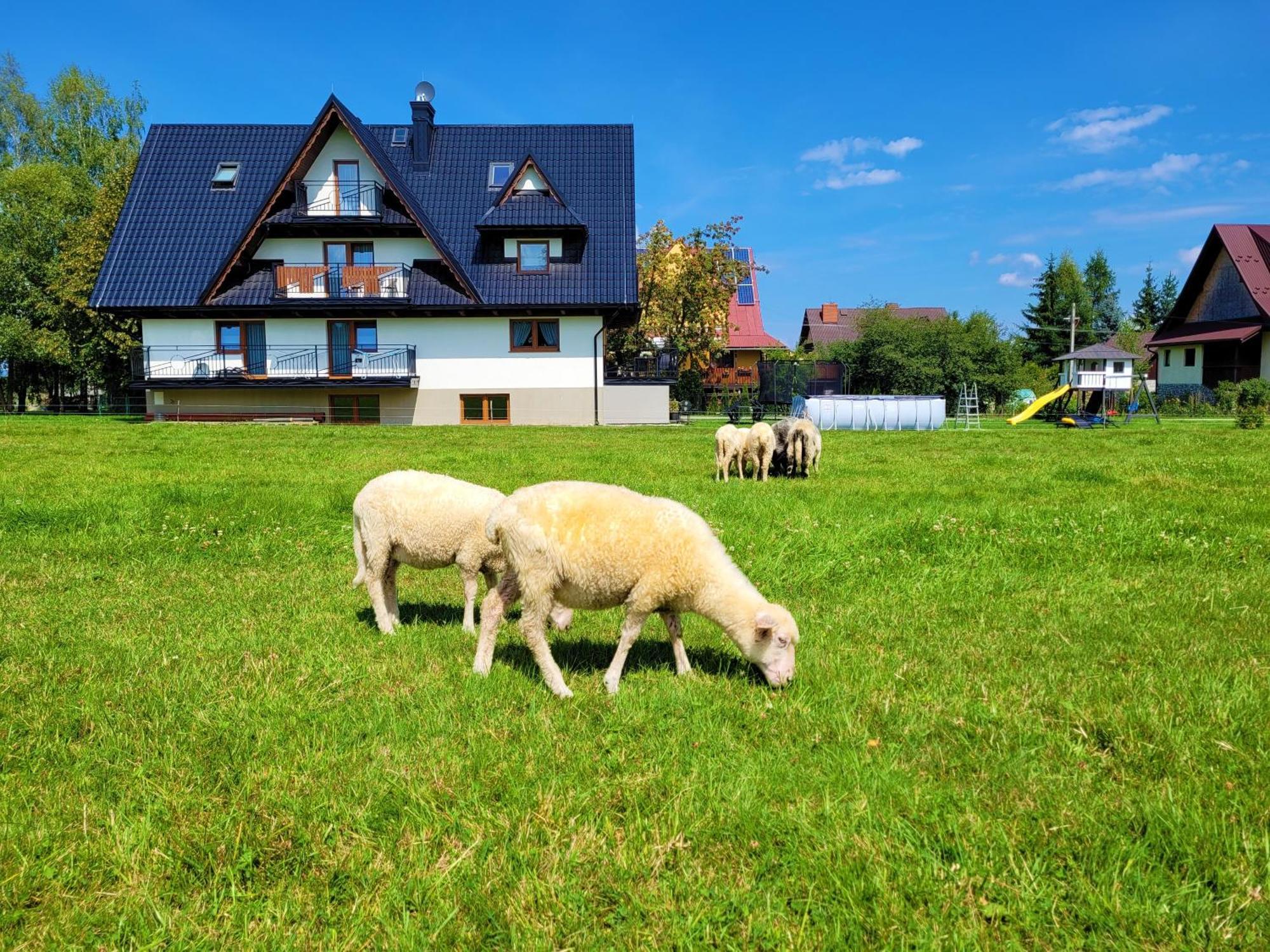 Apartamento Stylovy Białka Tatrzańska Exterior foto